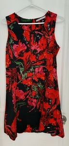 Coco and Tashi dress Sz M